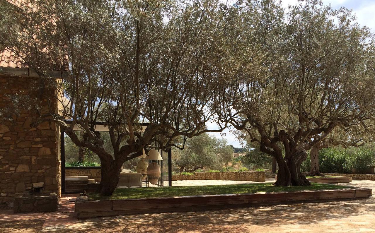 B&B La Collegiata Caltagirone Bagian luar foto