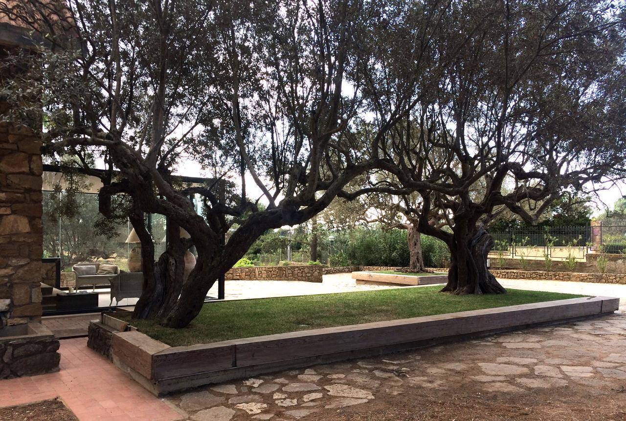 B&B La Collegiata Caltagirone Bagian luar foto